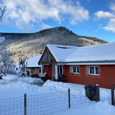 Gite Le Cerf Volant Raon-sur-Plaine Exteriör bild